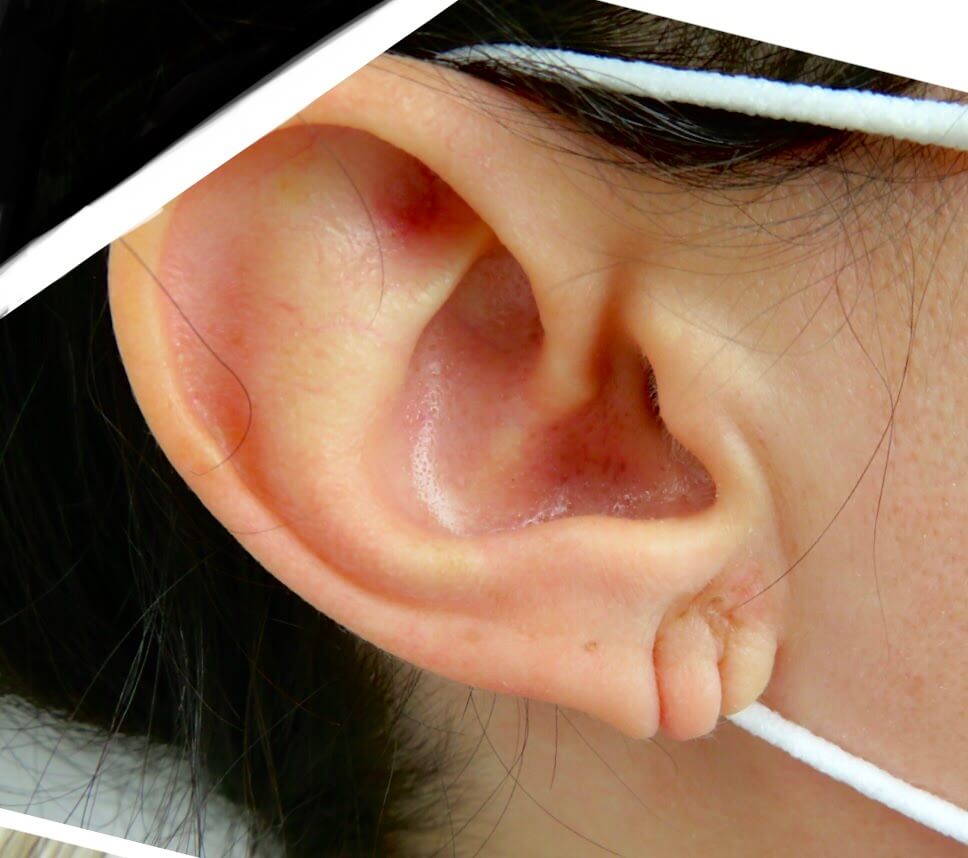 pasted image 0 (2) (1)