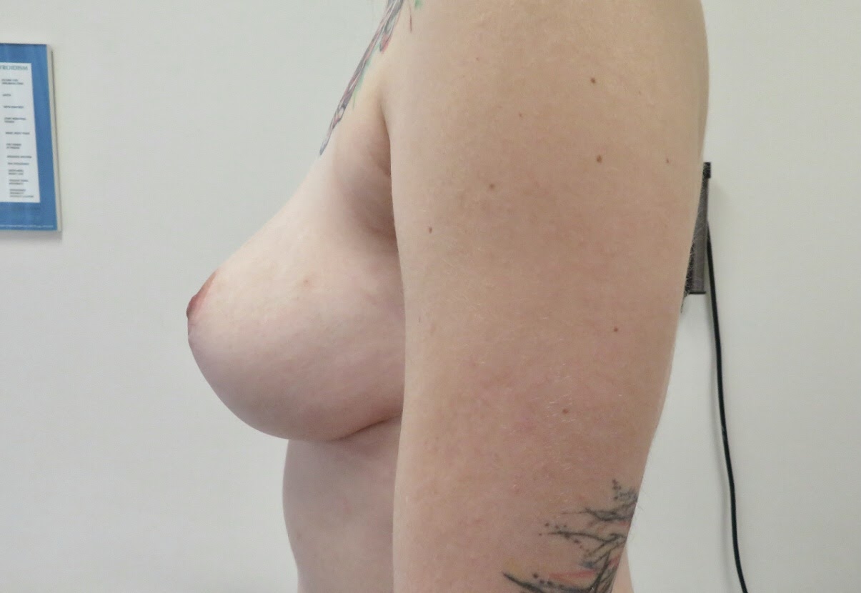 pasted image 1 (2) (1)