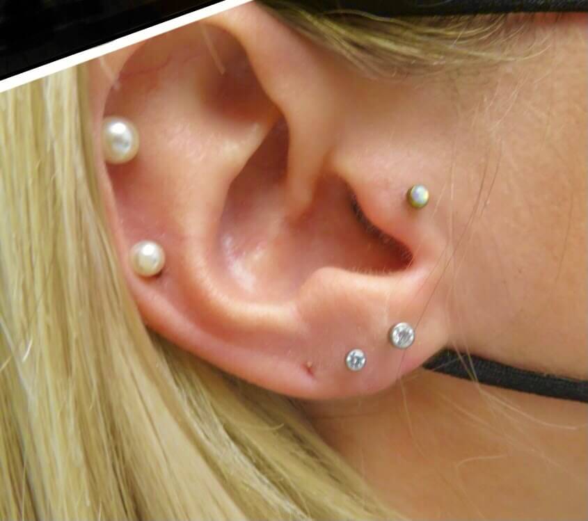 pasted image 1 (2) (1)