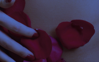 Laser Gynécologique