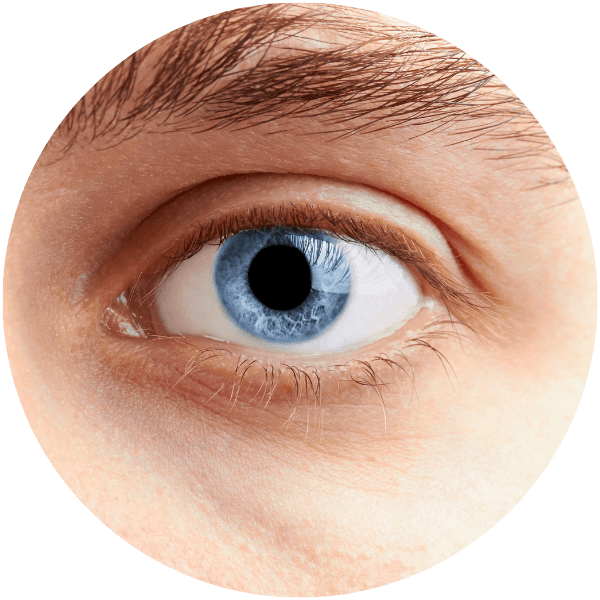 Untitled design (37) (1)